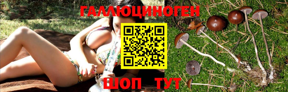 Псилоцибиновые грибы мухоморы  Вход с VPN  Люберцы 