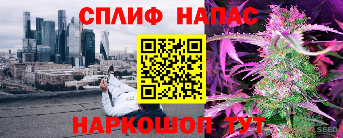 Каннабис индика Люберцы